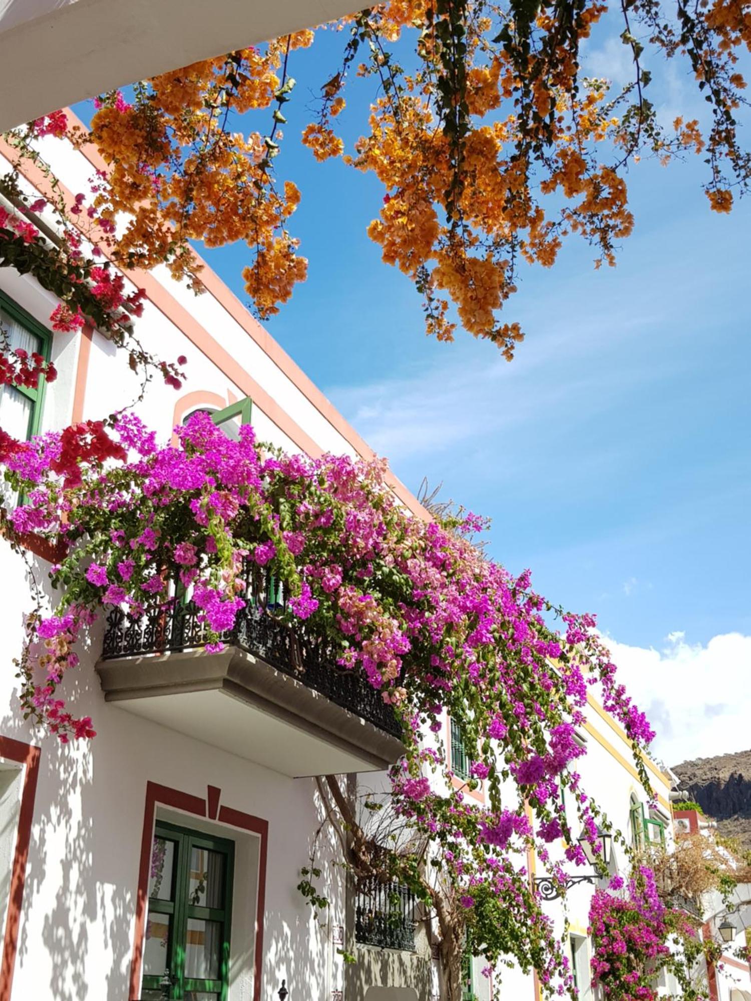 Villa Diana With Private Swimming Pool In Tauro Mogán エクステリア 写真